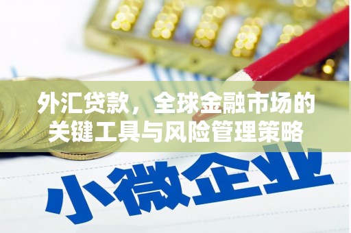 武平外汇贷款，全球金融市场的关键工具与风险管理策略