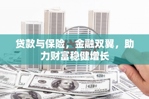 海城贷款与保险，金融双翼，助力财富稳健增长