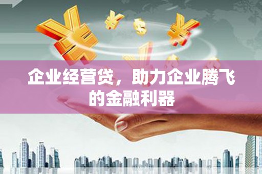 昌吉企业经营贷，助力企业腾飞的金融利器
