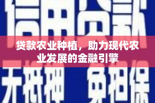 路环岛贷款农业种植，助力现代农业发展的金融引擎