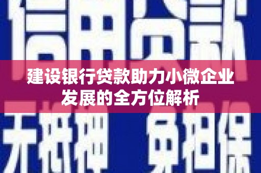 岢岚建设银行贷款助力小微企业发展的全方位解析
