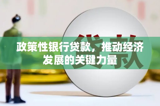 临翔政策性银行贷款，推动经济发展的关键力量