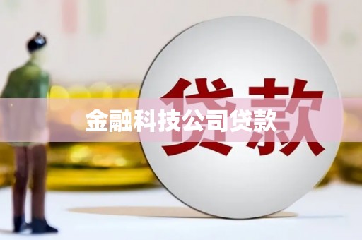 昌宁金融科技公司贷款