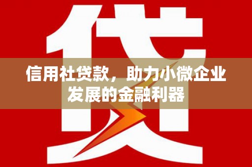 巴楚信用社贷款，助力小微企业发展的金融利器