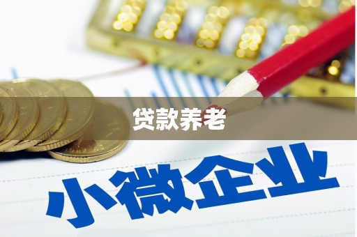 东至贷款养老