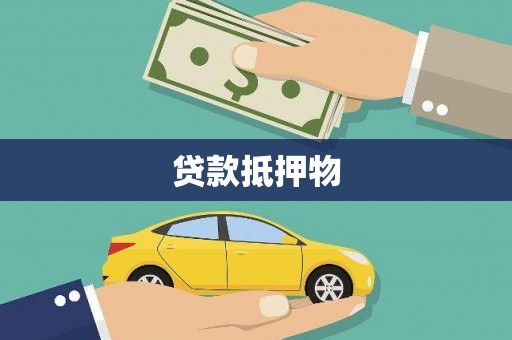 从江贷款抵押物