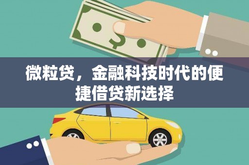 新界微粒贷，金融科技时代的便捷借贷新选择
