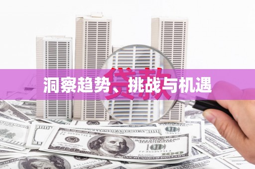 赤坎洞察趋势、挑战与机遇