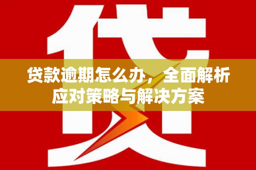 共和贷款逾期怎么办，全面解析应对策略与解决方案