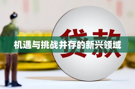 市中区机遇与挑战并存的新兴领域