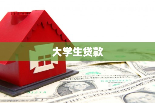 略阳大学生贷款