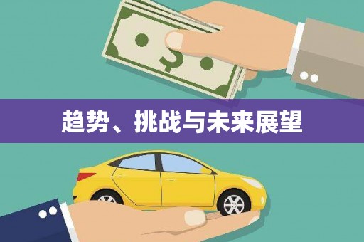盐田趋势、挑战与未来展望