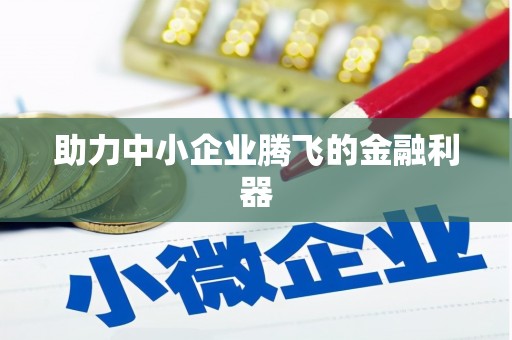 灌阳助力中小企业腾飞的金融利器