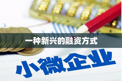 峨边一种新兴的融资方式