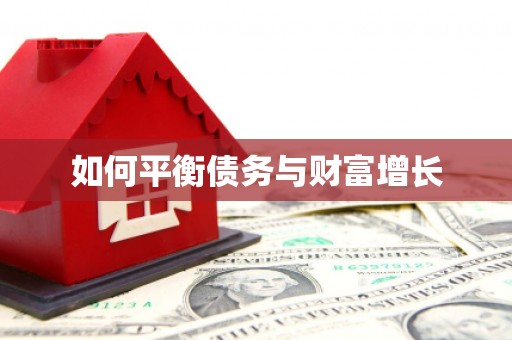 金乡如何平衡债务与财富增长