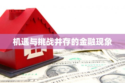横县机遇与挑战并存的金融现象