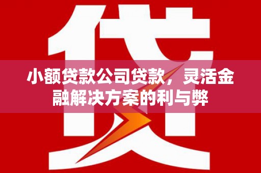 浔阳小额贷款公司贷款，灵活金融解决方案的利与弊